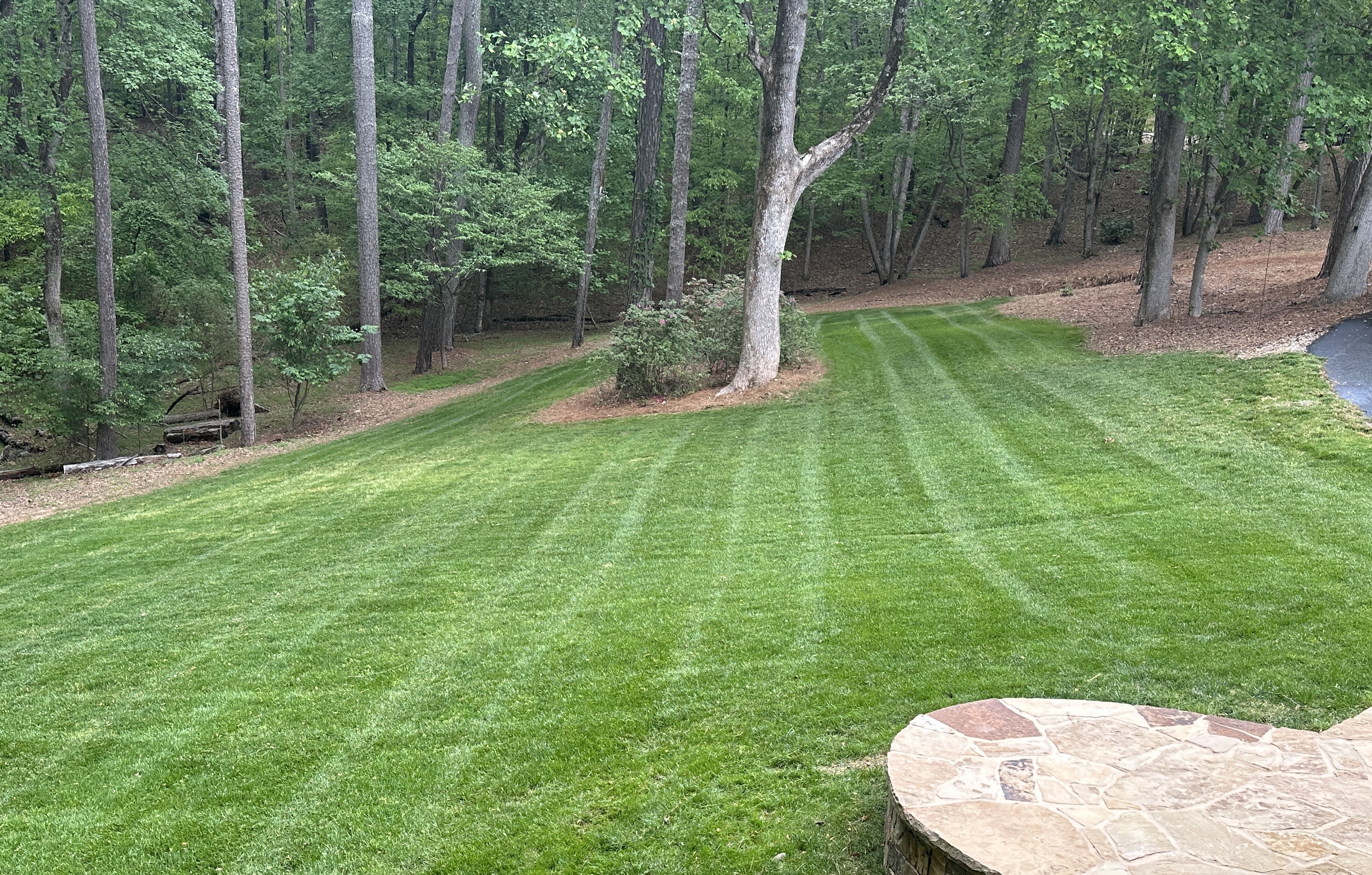 Freshly mowed lawn with stripes beside a wooded landscape
