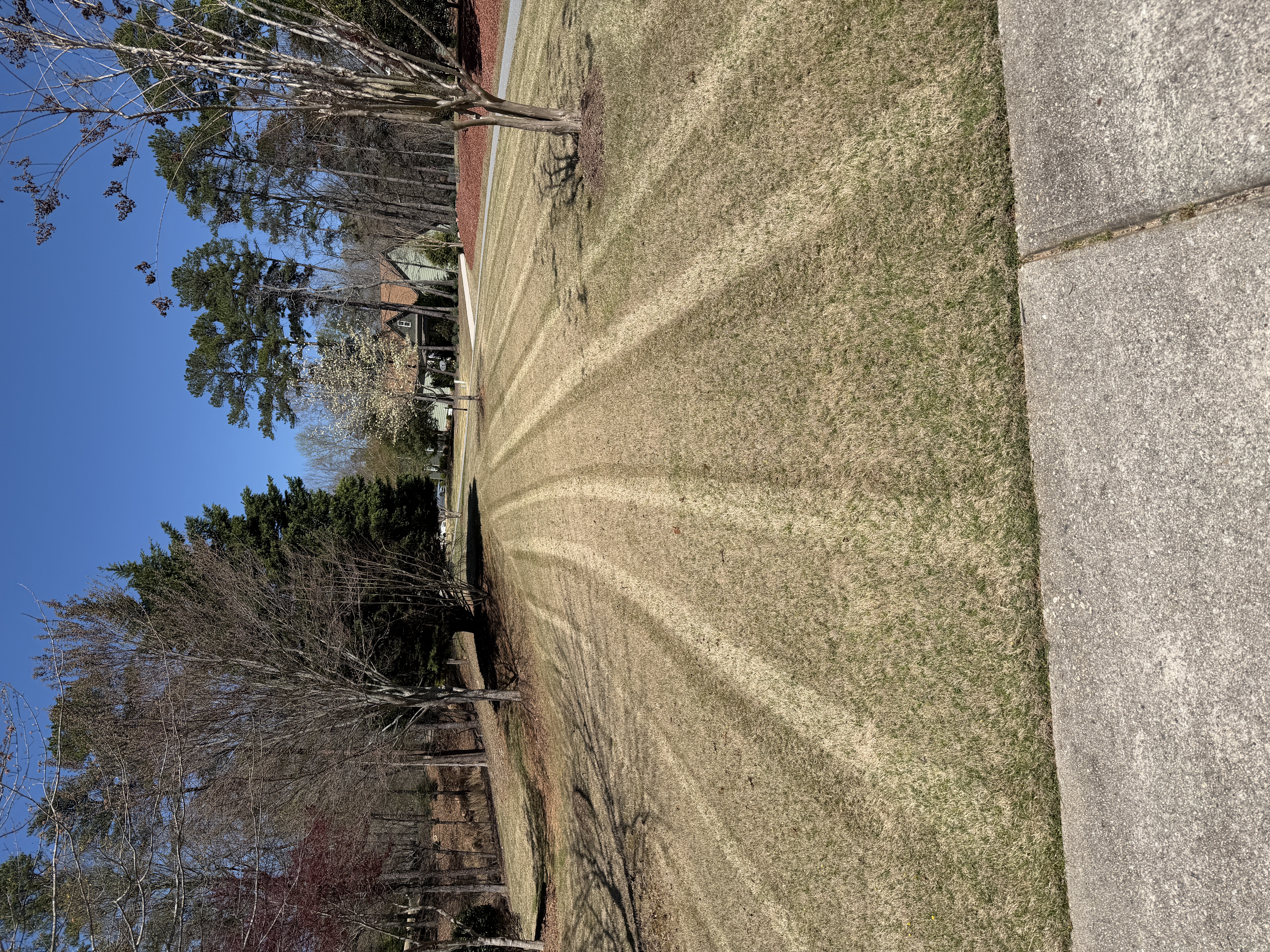 Seasonal lawn maintenance with mowing stripes and tidy landscape beds